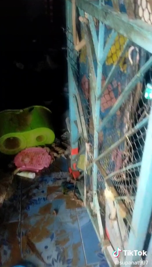 น้ำท่วม น้ำท่วม