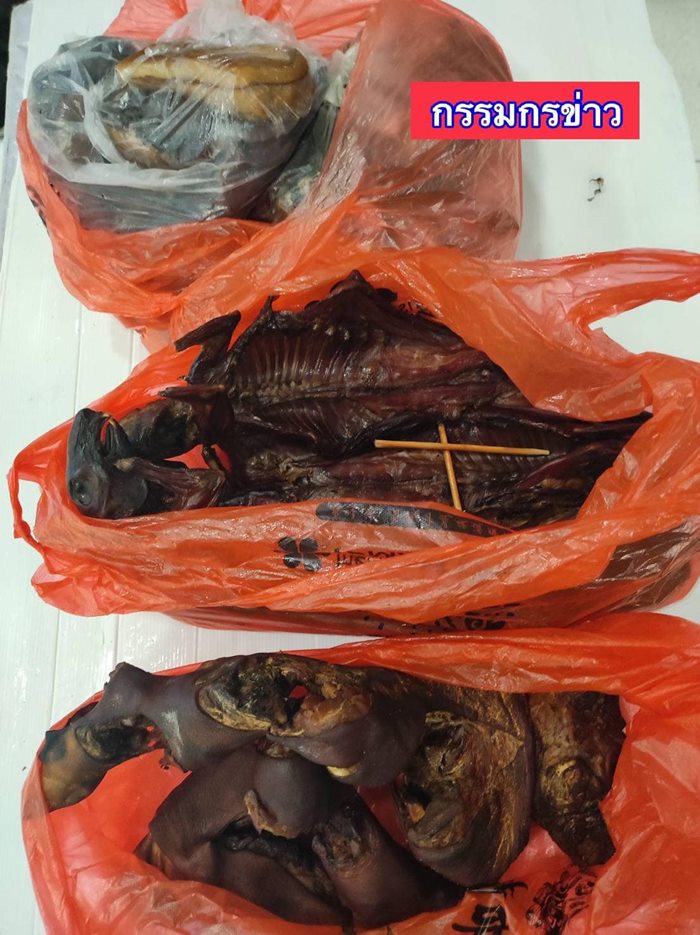 เมนูค้างคาวรมควัน เมนูค้างคาวรมควัน