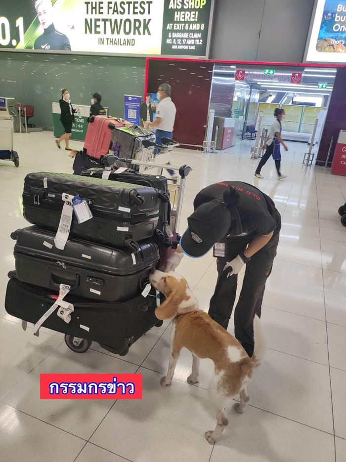 เมนูค้างคาวรมควัน เมนูค้างคาวรมควัน