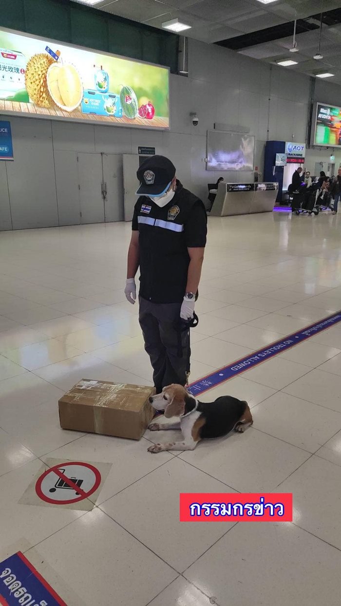 เมนูค้างคาวรมควัน เมนูค้างคาวรมควัน