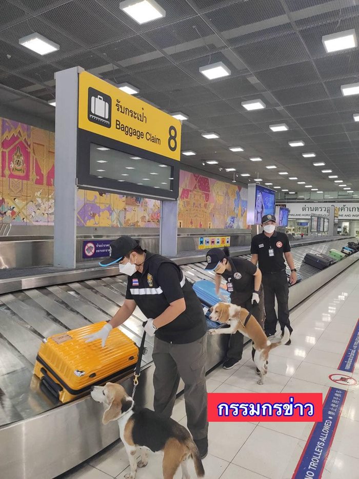 เมนูค้างคาวรมควัน เมนูค้างคาวรมควัน