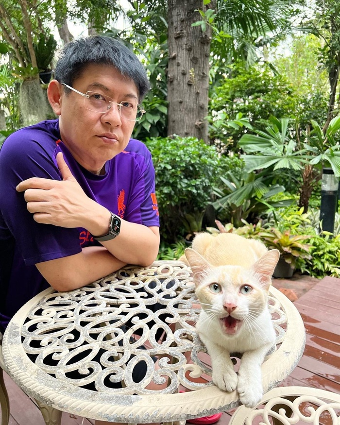 ทาสแมว ทาสแมว