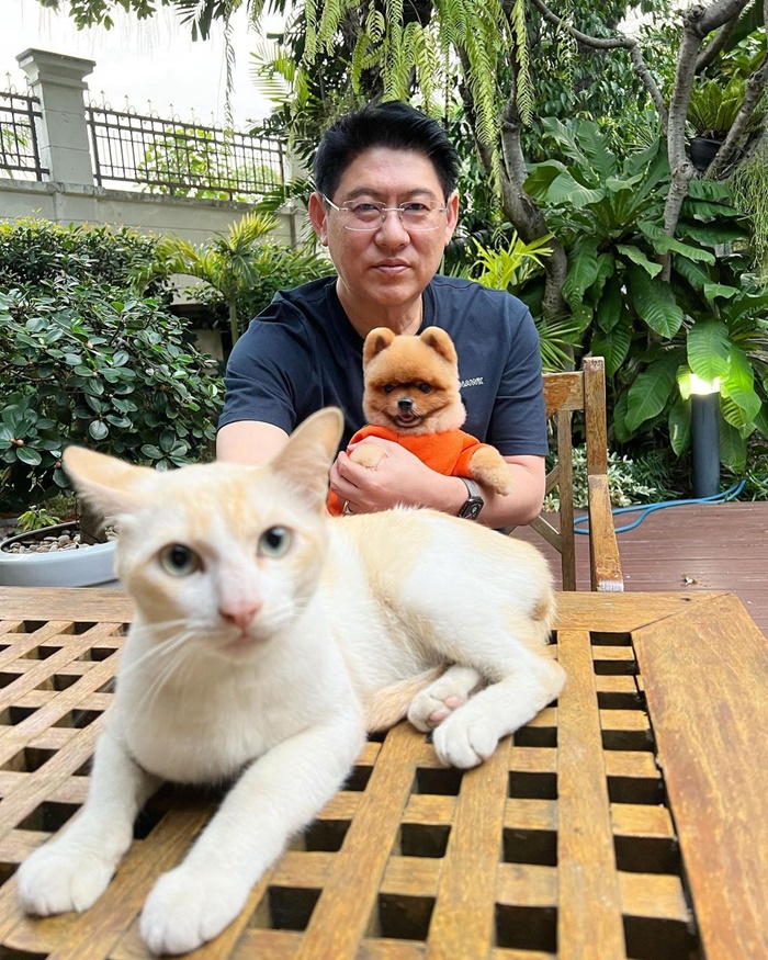 ทาสแมว ทาสแมว