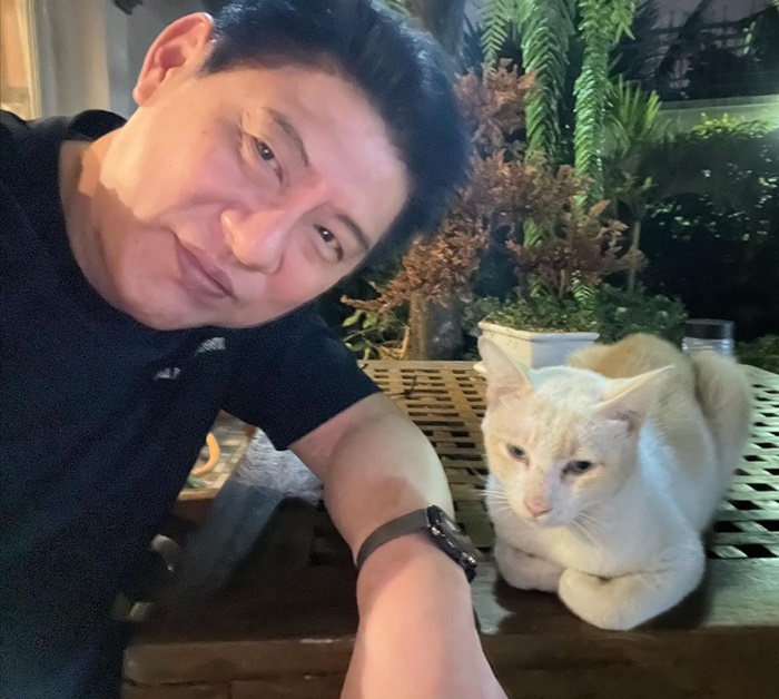 ทาสแมว ทาสแมว