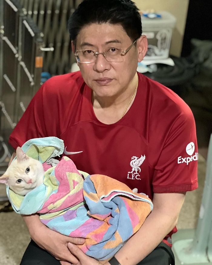 ทาสแมว ทาสแมว