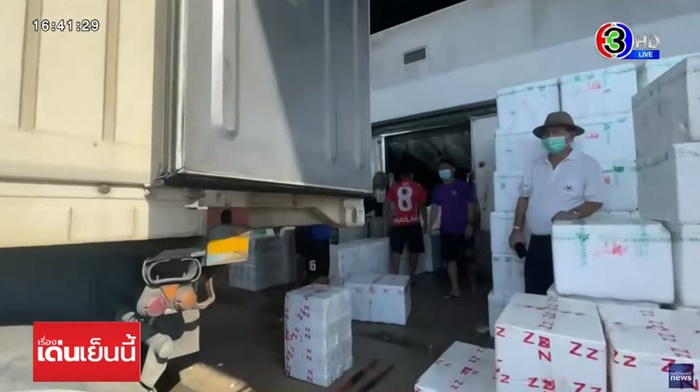 ผักจีนตีตลาดไทย ผักจีนตีตลาดไทย