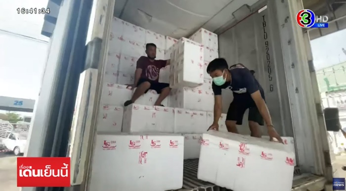 ผักจีนตีตลาดไทย ผักจีนตีตลาดไทย