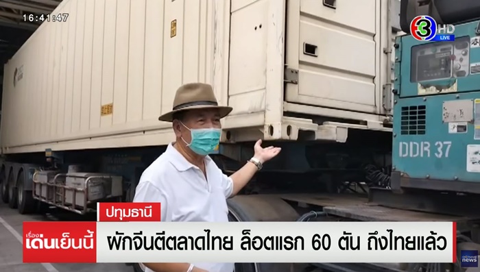 ผักจีนตีตลาดไทย ผักจีนตีตลาดไทย