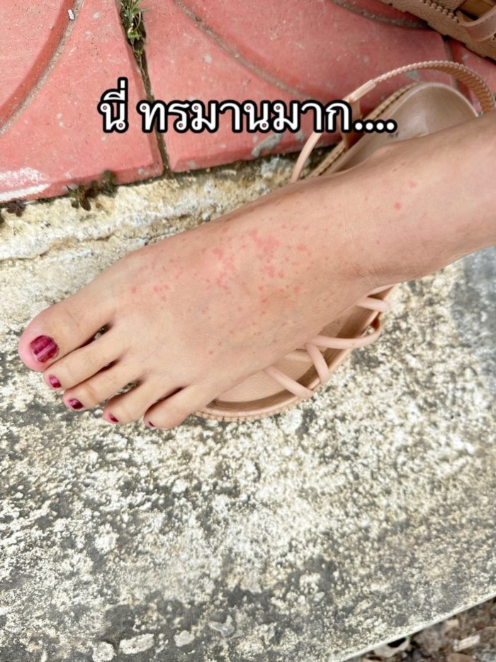 สาวโรงงาน สาวโรงงาน