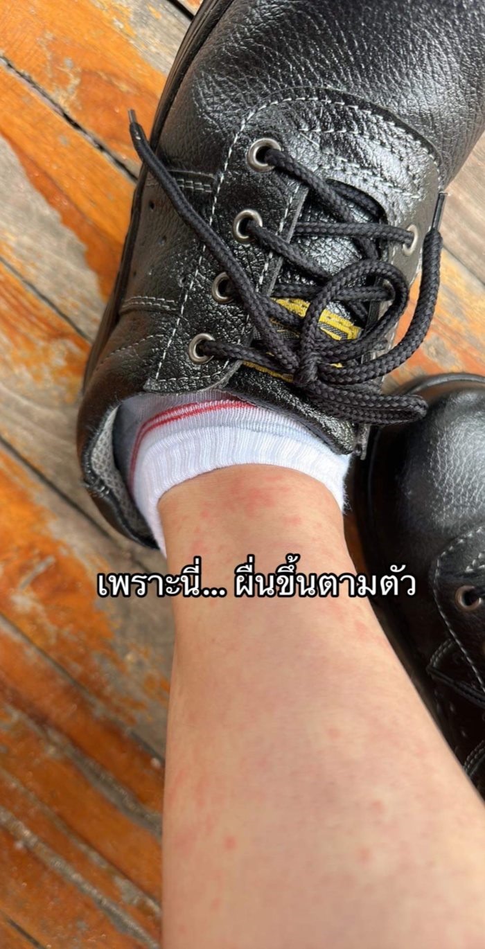 สาวโรงงาน สาวโรงงาน