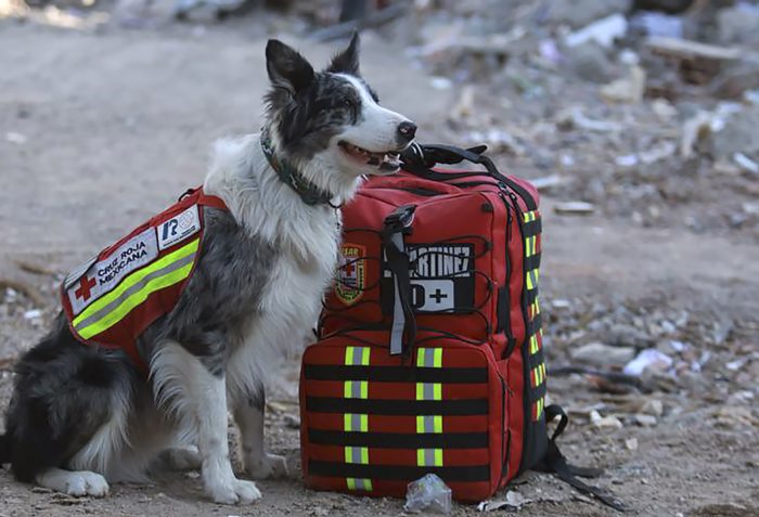 แผ่น แผ่น