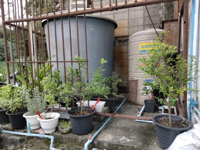 ที่ดิน 1 ตรว. ที่ดิน 1 ตรว.