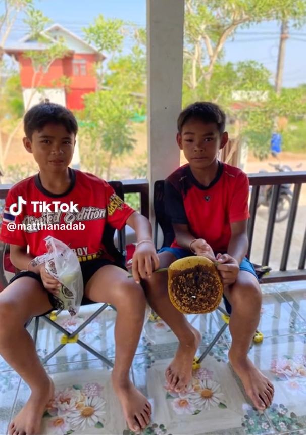 น้ำผึ้งป่าแท้ ๆ น้ำผึ้งป่าแท้ ๆ