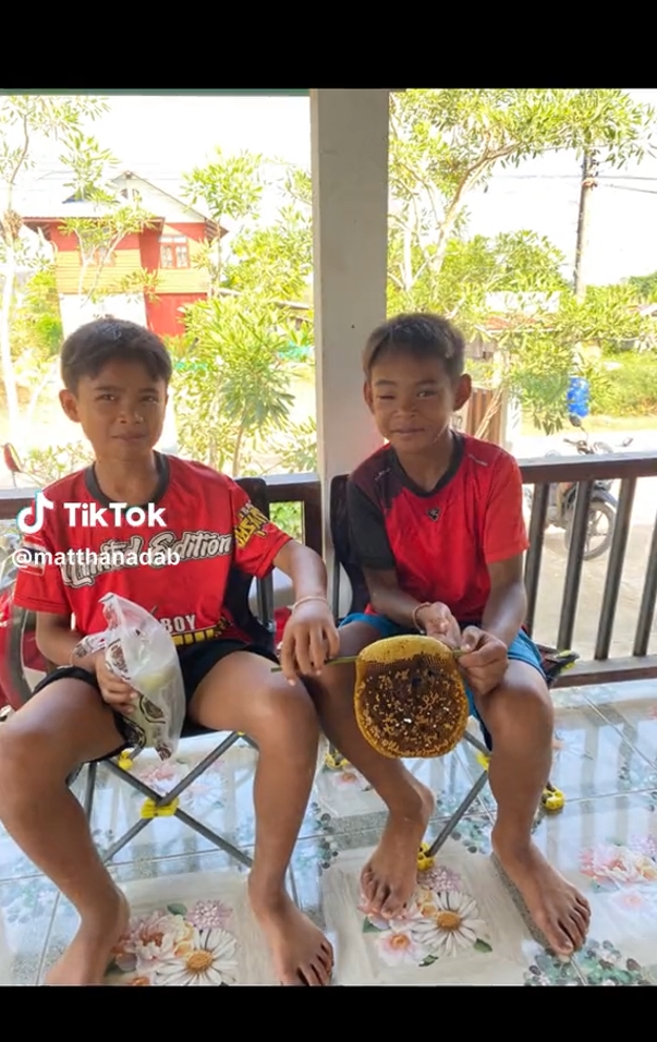 น้ำผึ้งป่าแท้ ๆ น้ำผึ้งป่าแท้ ๆ