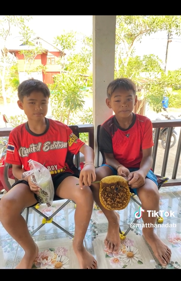 น้ำผึ้งป่าแท้ ๆ น้ำผึ้งป่าแท้ ๆ