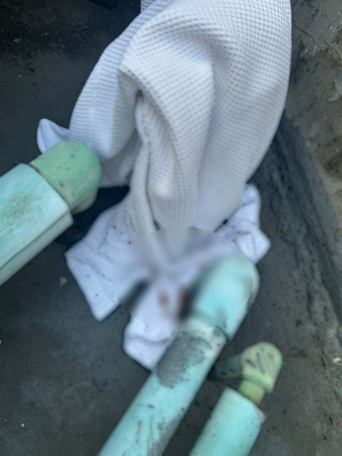 ดีเจโก กรีนเวฟ ดีเจโก กรีนเวฟ