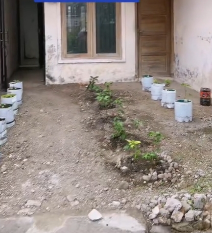 บ้านกลายเป็นสวนพริก บ้านกลายเป็นสวนพริก