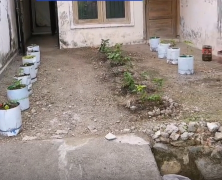 บ้านกลายเป็นสวนพริก บ้านกลายเป็นสวนพริก