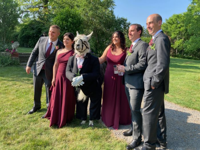 เพื่อนเจ้าบ่าว เพื่อนเจ้าบ่าว