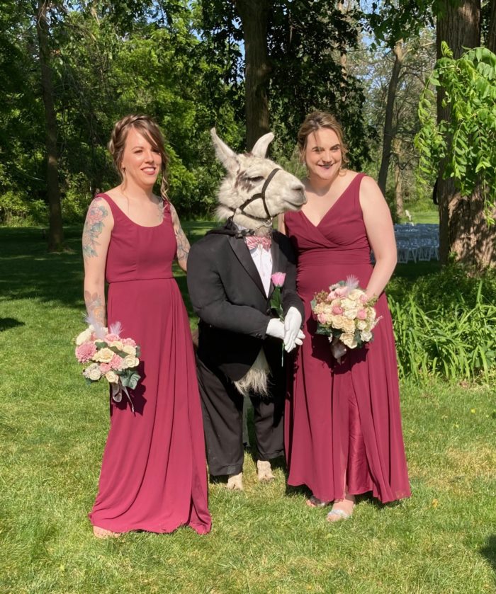 เพื่อนเจ้าบ่าว เพื่อนเจ้าบ่าว