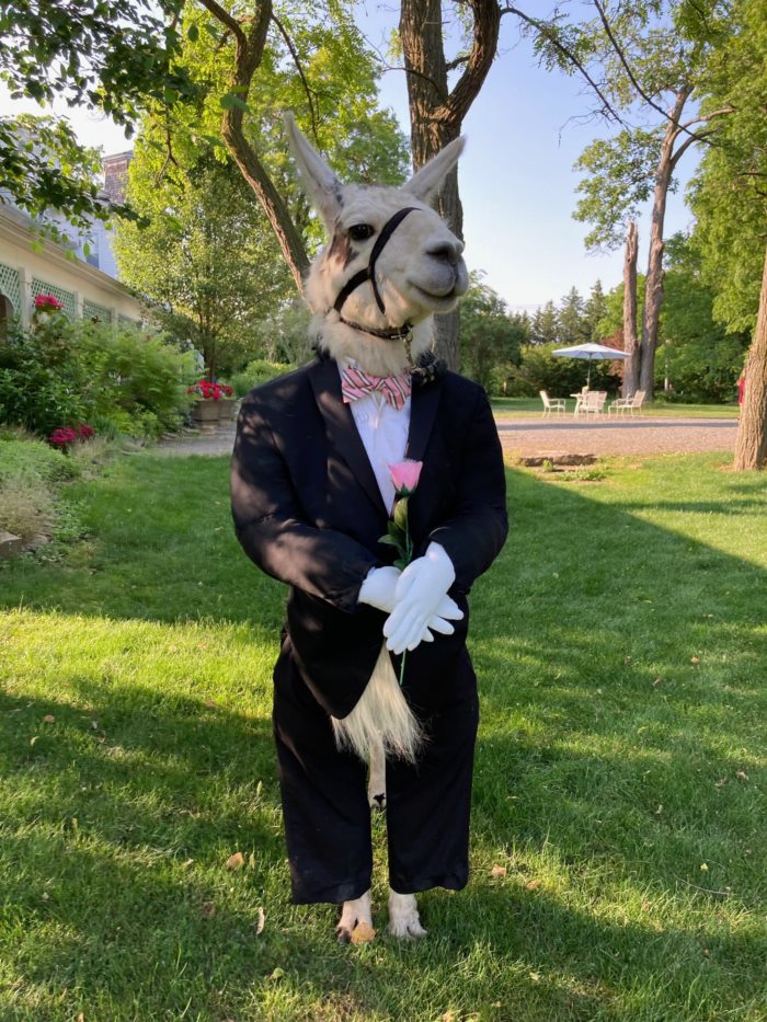 เพื่อนเจ้าบ่าว เพื่อนเจ้าบ่าว