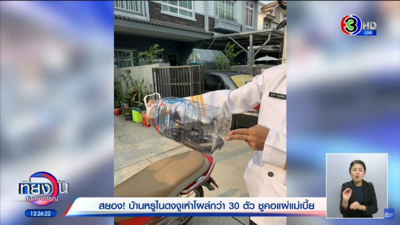 งูเข้าบ้าน งูเข้าบ้าน