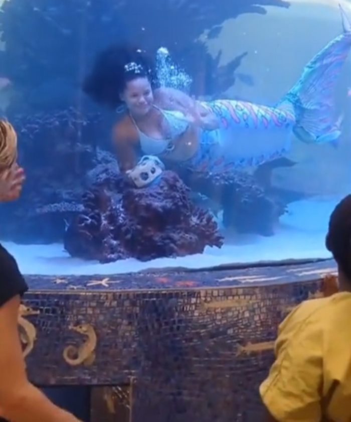 แสดงโชว์เงือก แสดงโชว์เงือก