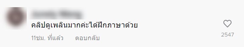 พิซซ่าหน้าลาบหมู พิซซ่าหน้าลาบหมู