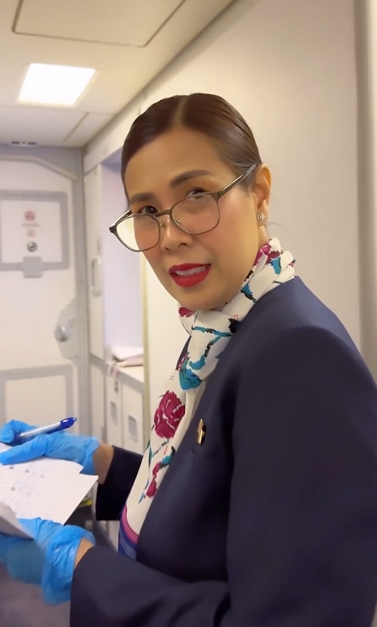 สาวแกล้งแอร์โฮสเตส สาวแกล้งแอร์โฮสเตส