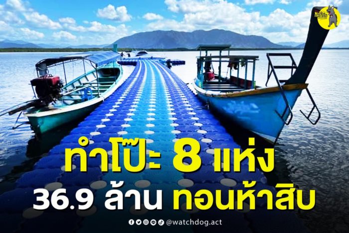 ทุ่นจิ๊กซอว์ลอยน้ำพลาสติก ทุ่นจิ๊กซอว์ลอยน้ำพลาสติก