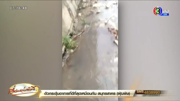 ป้าแขวนกางเกงในหรา ป้าแขวนกางเกงในหรา