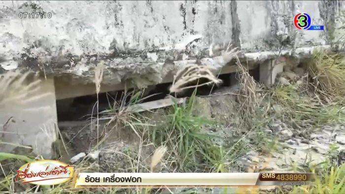 ป้าแขวนกางเกงในหรา ป้าแขวนกางเกงในหรา