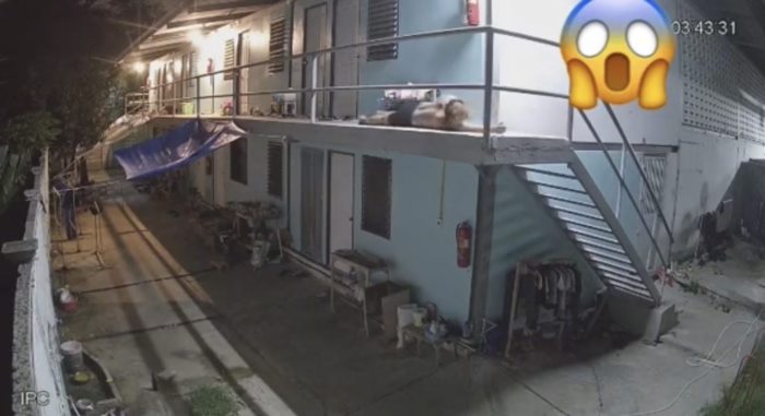 ไวรัล TikTok หนุ่มเมา ไวรัล TikTok หนุ่มเมา