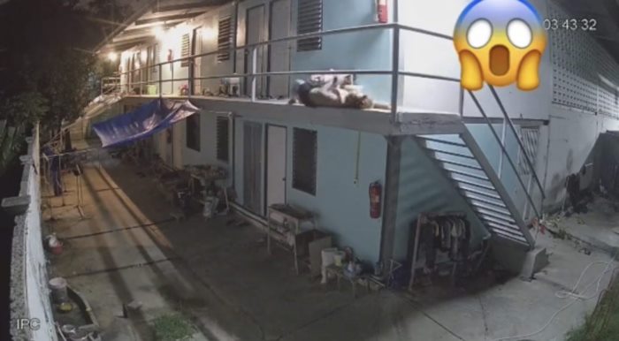 ไวรัล TikTok หนุ่มเมา ไวรัล TikTok หนุ่มเมา