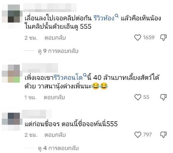 หมาบนคอนโดหรู หมาบนคอนโดหรู