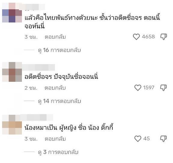 หมาบนคอนโดหรู หมาบนคอนโดหรู