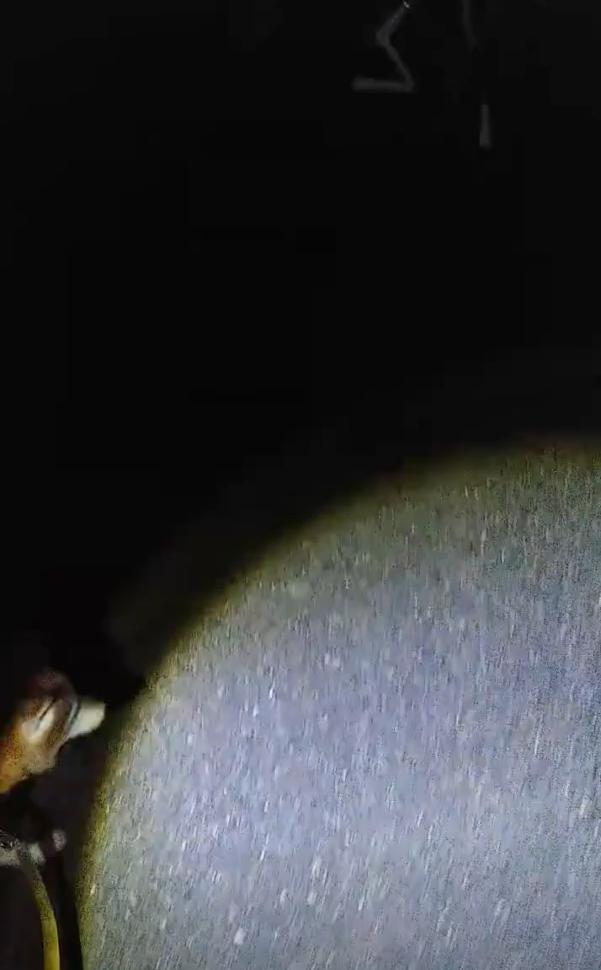 เซ็กส์ในรถ เซ็กส์ในรถ