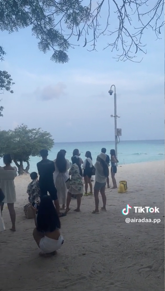 เกาะล้าน เกาะล้าน