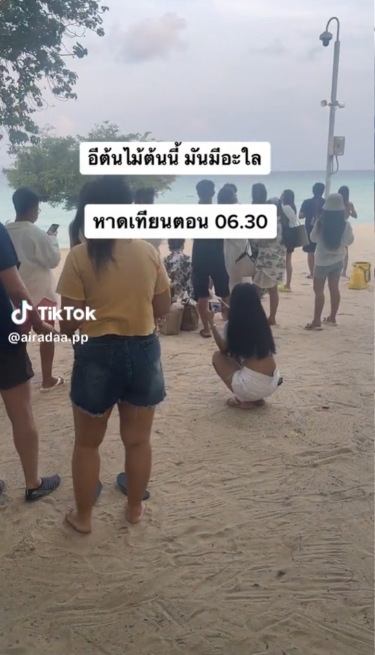 เกาะล้าน เกาะล้าน