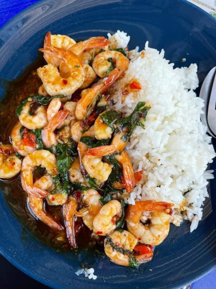 กะเพรา กะเพรา