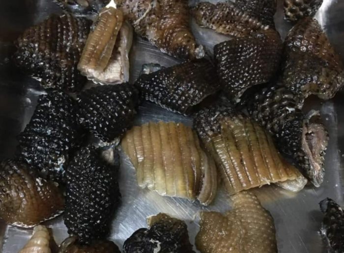 โชว์หนังทอด โชว์หนังทอด