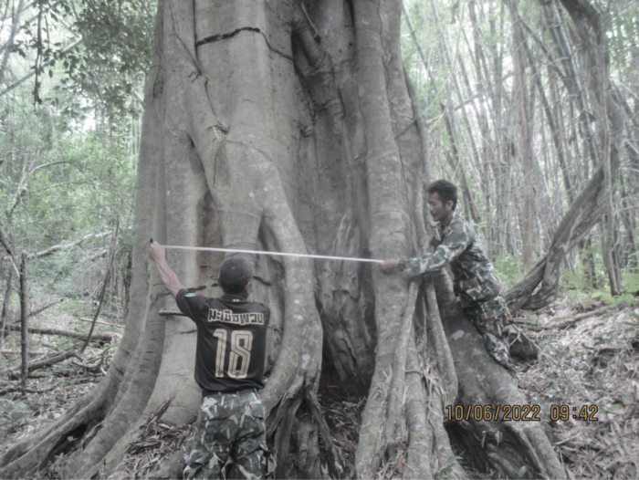 จนท. พิทักษ์ป่า เสียชีวิตหลังออกดับไฟป่า จนท. พิทักษ์ป่า เสียชีวิตหลังออกดับไฟป่า