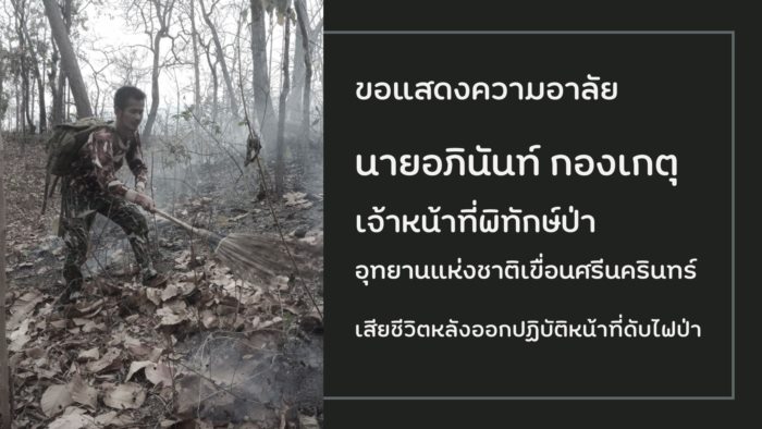 จนท. พิทักษ์ป่า เสียชีวิตหลังออกดับไฟป่า จนท. พิทักษ์ป่า เสียชีวิตหลังออกดับไฟป่า