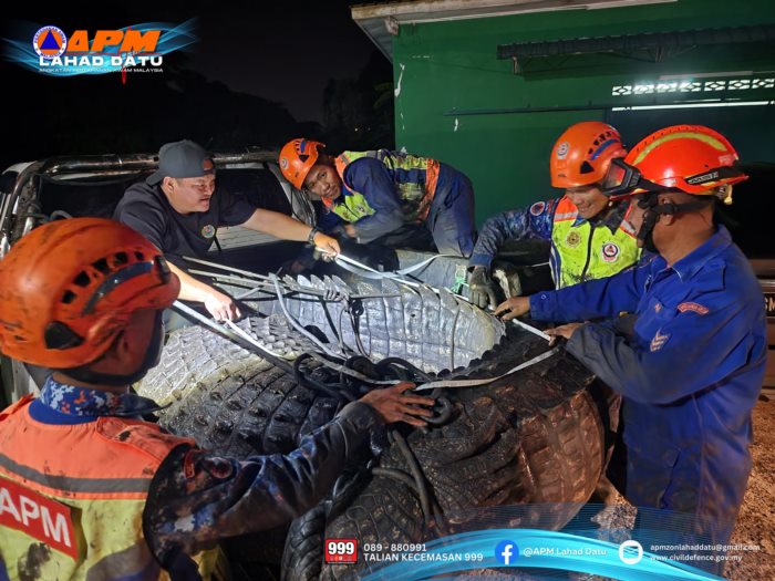 จระเข้ยักษ์ 1.2 ตัน จระเข้ยักษ์ 1.2 ตัน