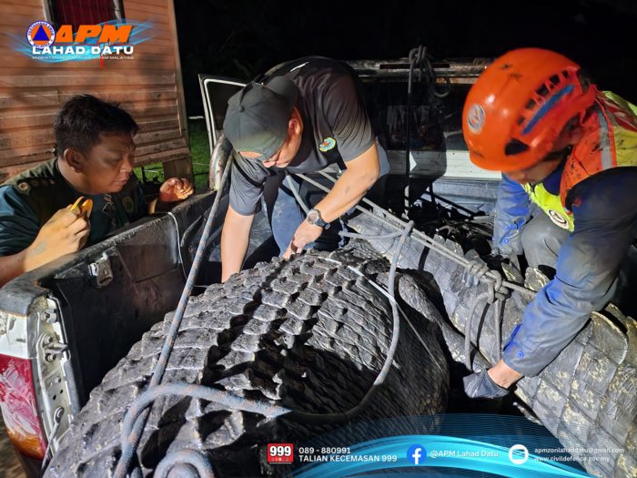 จระเข้ยักษ์ 1.2 ตัน จระเข้ยักษ์ 1.2 ตัน