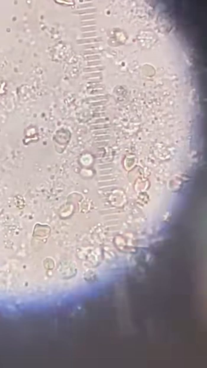 แนะตั้งสติก่อนกิน แนะตั้งสติก่อนกิน