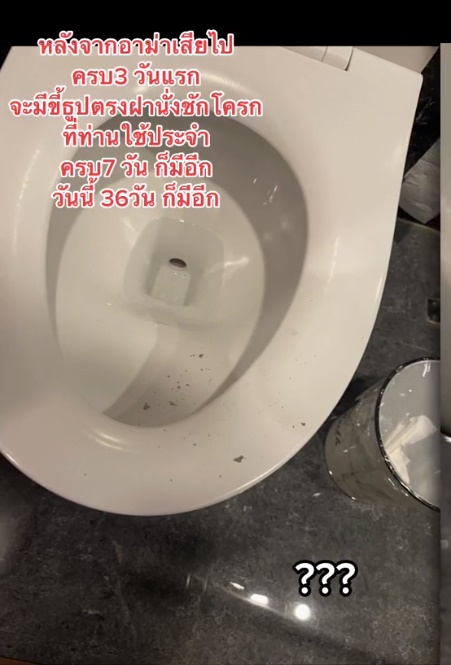 ขี้ธูปปริศนา ขี้ธูปปริศนา