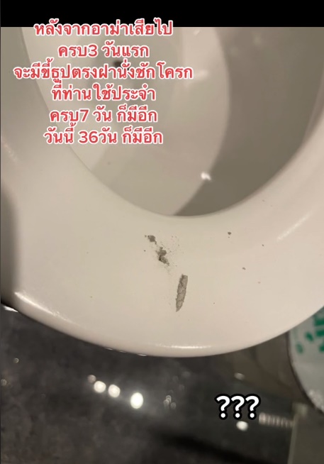 ขี้ธูปปริศนา ขี้ธูปปริศนา