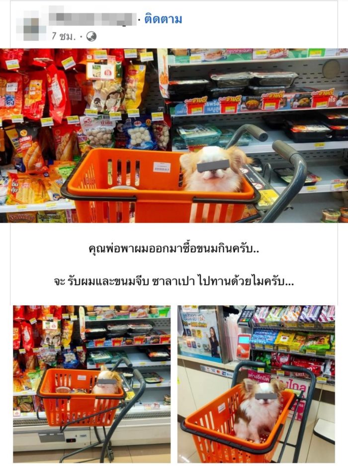 หมาเข้าเซเว่น หมาเข้าเซเว่น