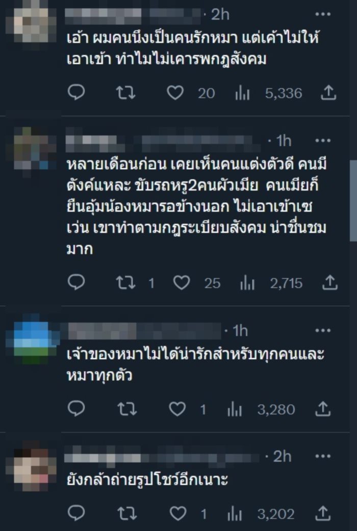 หมาเข้าเซเว่น หมาเข้าเซเว่น